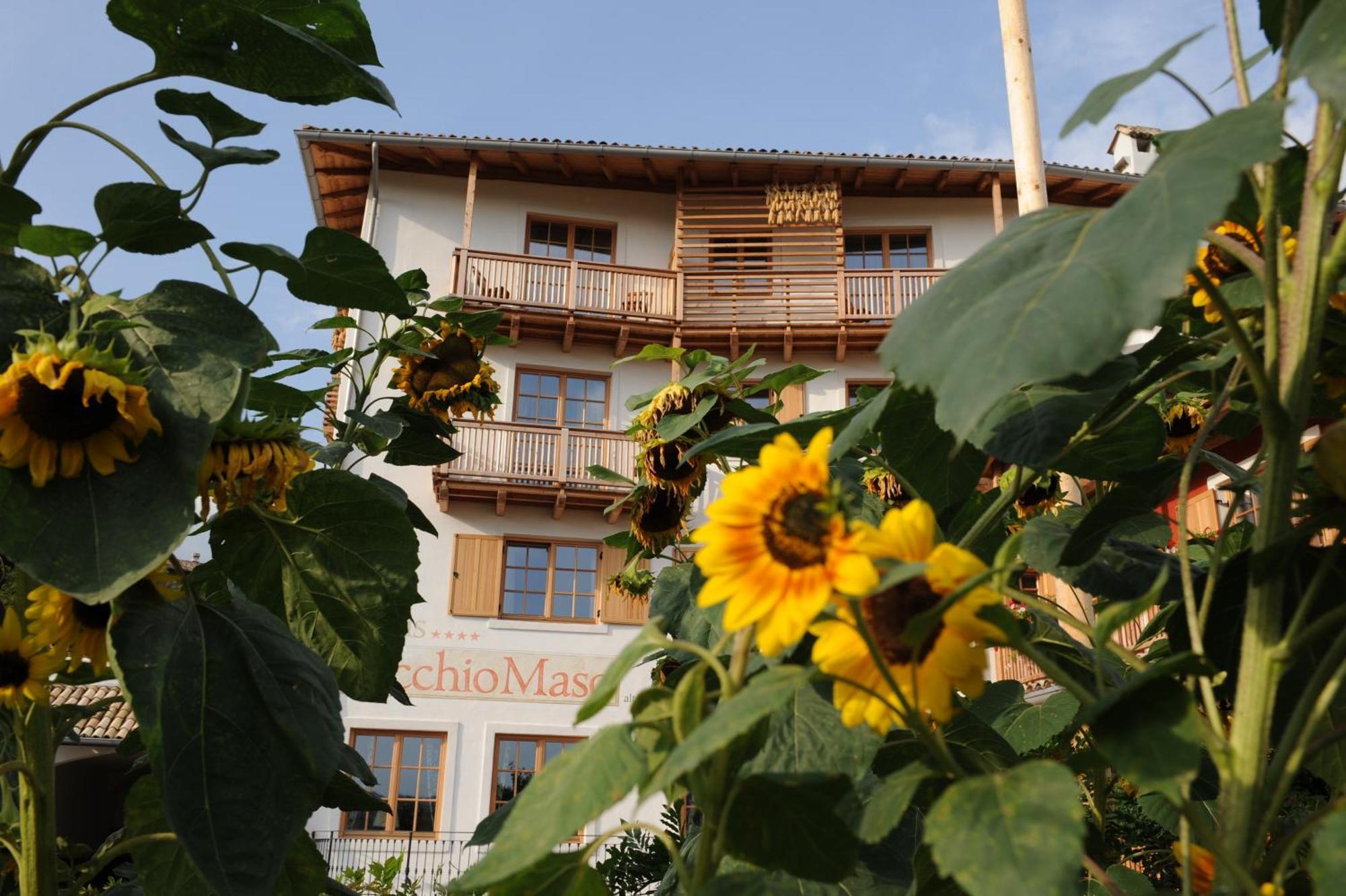 Hotel Relais Vecchio Maso Sopramonte Eksteriør billede